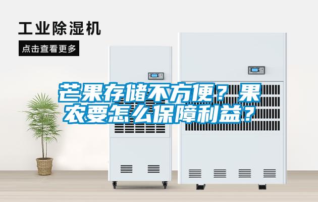 芒果存儲不方便？果農要怎么保障利益？