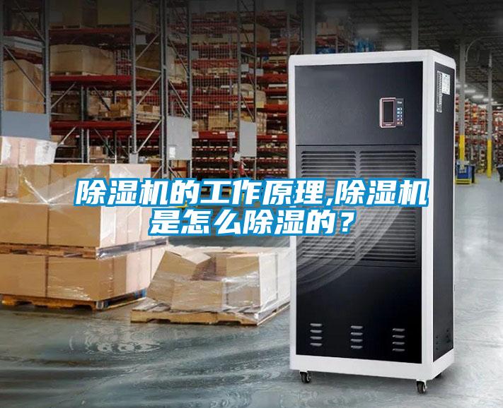 除濕機的工作原理,除濕機是怎么除濕的？