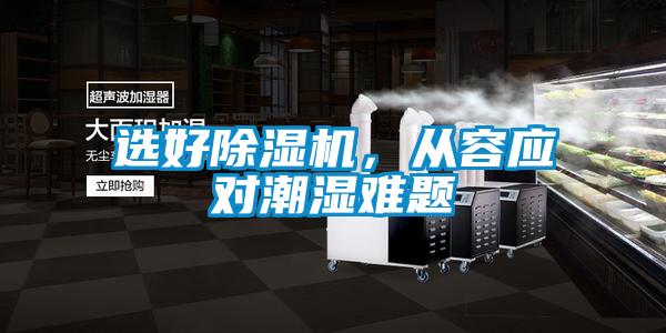 選好除濕機，從容應對潮濕難題