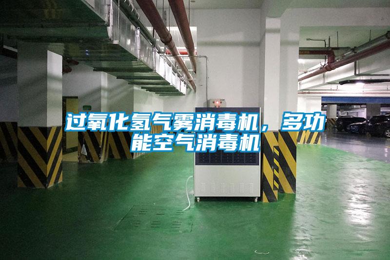 過(guò)氧化氫氣霧消毒機，多功能空氣消毒機