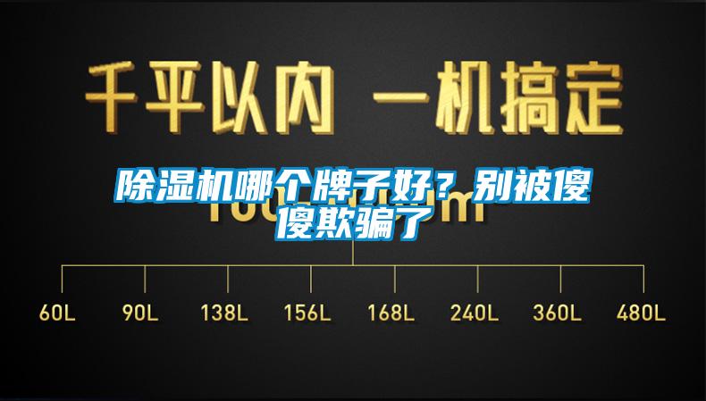 除濕機哪個(gè)牌子好？別被傻傻欺騙了