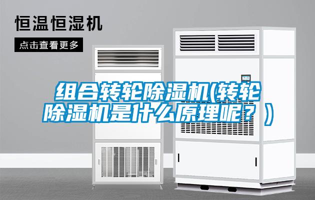 組合轉輪除濕機(轉輪除濕機是什么原理呢？)