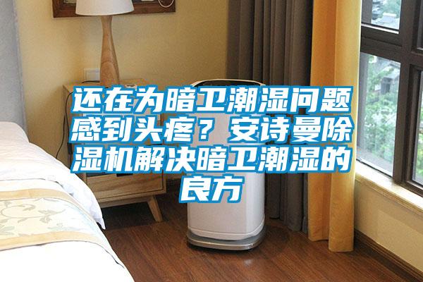 還在為暗衛潮濕問(wèn)題感到頭疼？安詩(shī)曼除濕機解決暗衛潮濕的良方