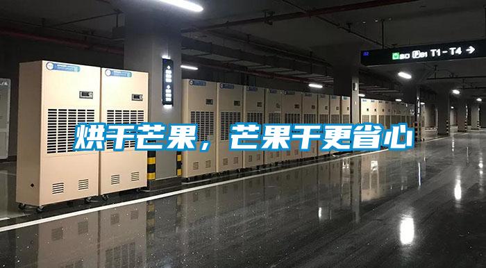 烘干芒果，芒果干更省心