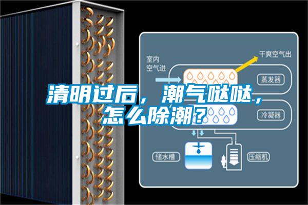 清明過(guò)后，潮氣噠噠，怎么除潮？