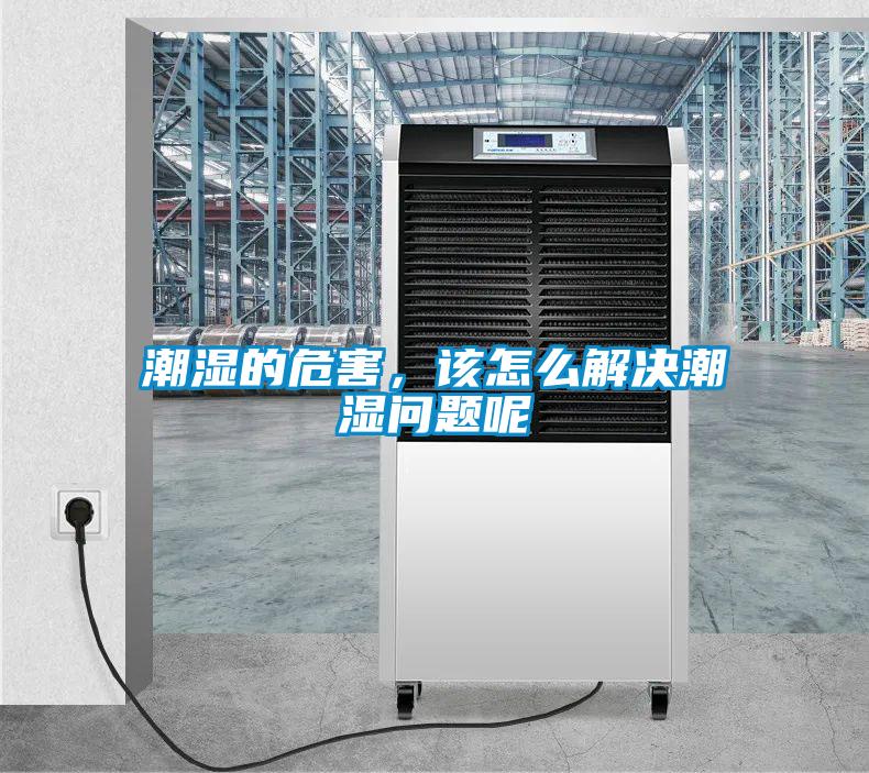 潮濕的危害，該怎么解決潮濕問(wèn)題呢