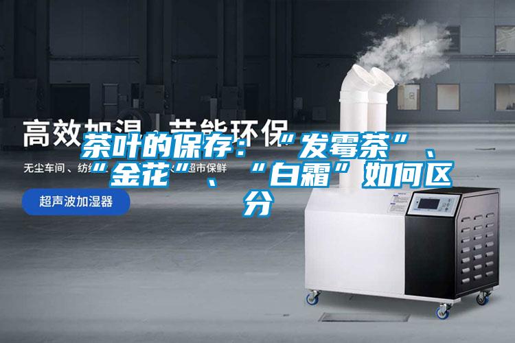茶葉的保存：“發(fā)霉茶”、“金花”、“白霜”如何區分