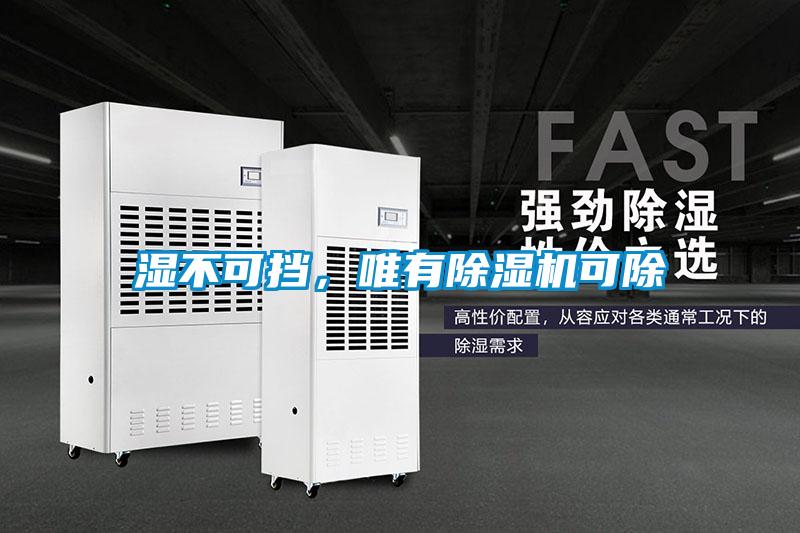 濕不可擋，唯有除濕機可除
