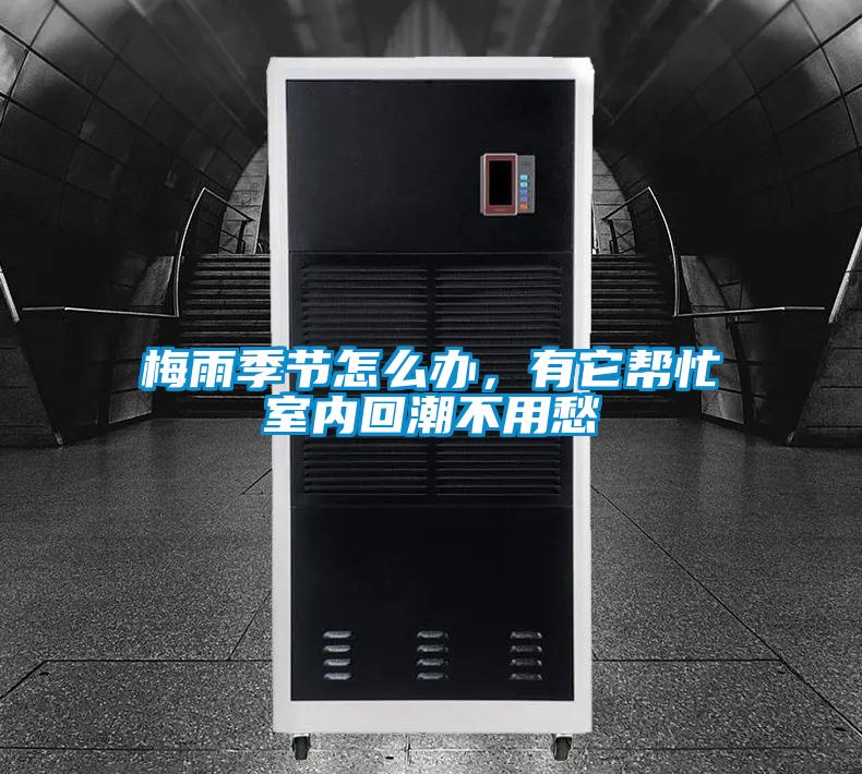 梅雨季節怎么辦，有它幫忙室內回潮不用愁
