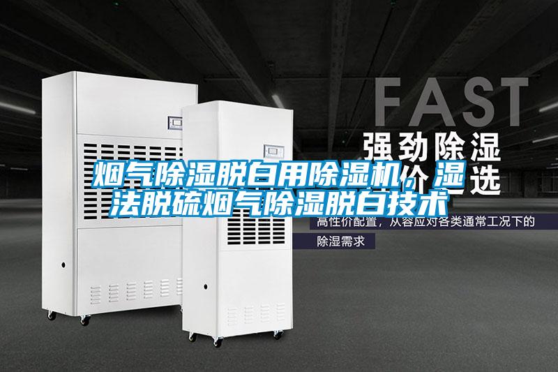 煙氣除濕脫白用除濕機，濕法脫硫煙氣除濕脫白技術(shù)