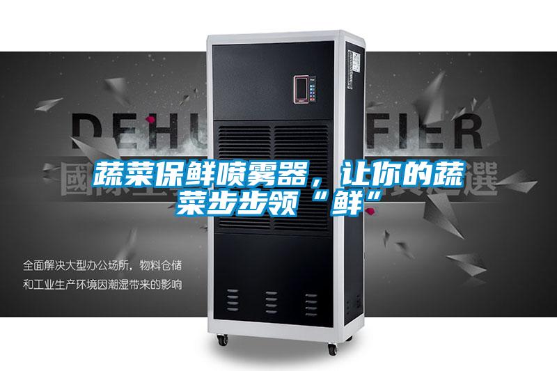 蔬菜保鮮噴霧器，讓你的蔬菜步步領(lǐng)“鮮”