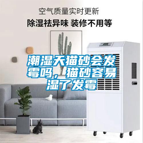 潮濕天貓砂會(huì )發(fā)霉嗎，貓砂容易濕了發(fā)霉