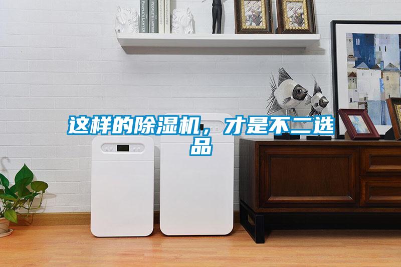 這樣的除濕機，才是不二選品