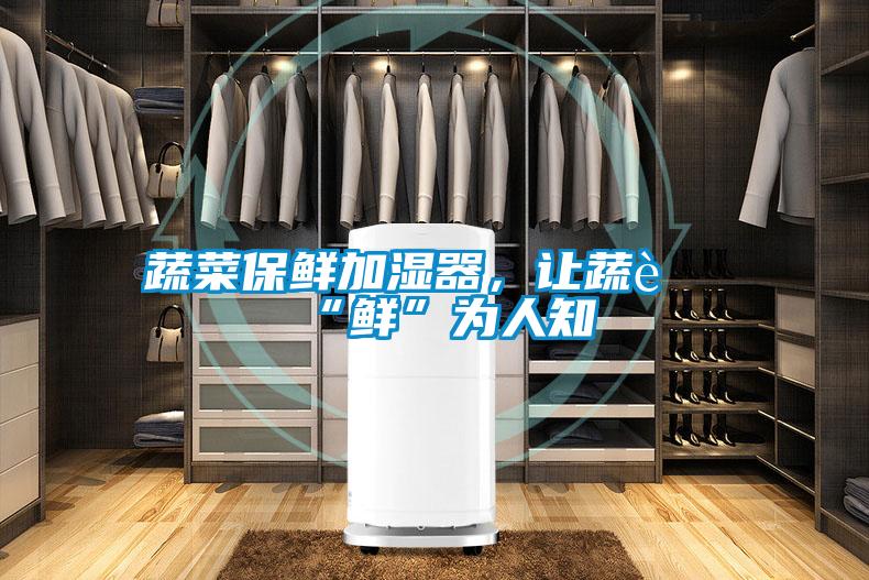 蔬菜保鮮加濕器，讓蔬菜“鮮”為人知
