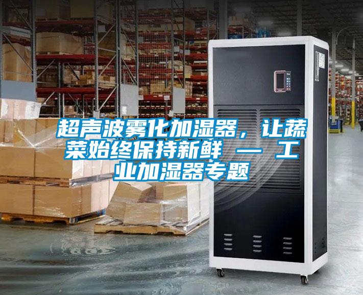 超聲波霧化加濕器，讓蔬菜始終保持新鮮 — 工業(yè)加濕器專(zhuān)題