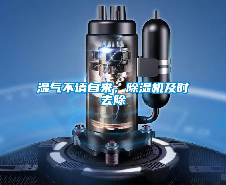 濕氣不請自來(lái)，除濕機及時(shí)去除