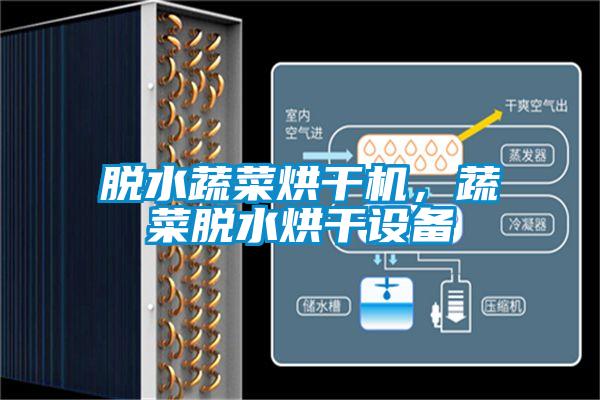 脫水蔬菜烘干機，蔬菜脫水烘干設備