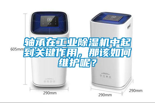 軸承在工業(yè)除濕機中起到關(guān)鍵作用，那該如何維護呢？