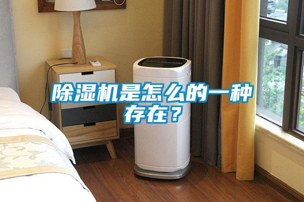 除濕機是怎么的一種存在？