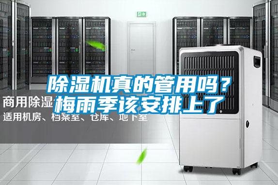 除濕機真的管用嗎？梅雨季該安排上了