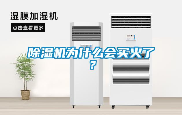 除濕機為什么會(huì )買(mǎi)火了？