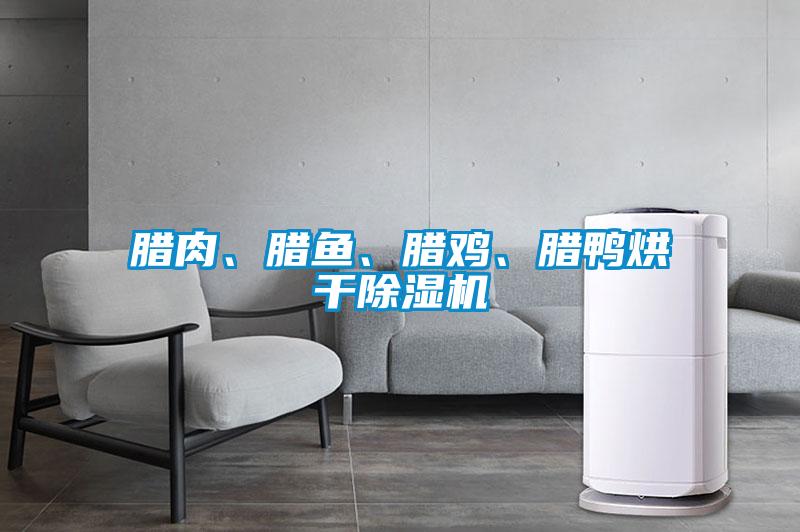 臘肉、臘魚(yú)、臘雞、臘鴨烘干除濕機