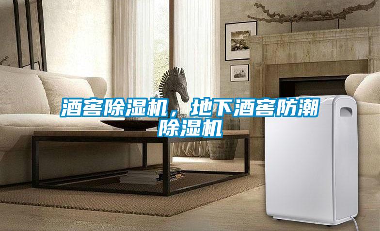 酒窖除濕機，地下酒窖防潮除濕機