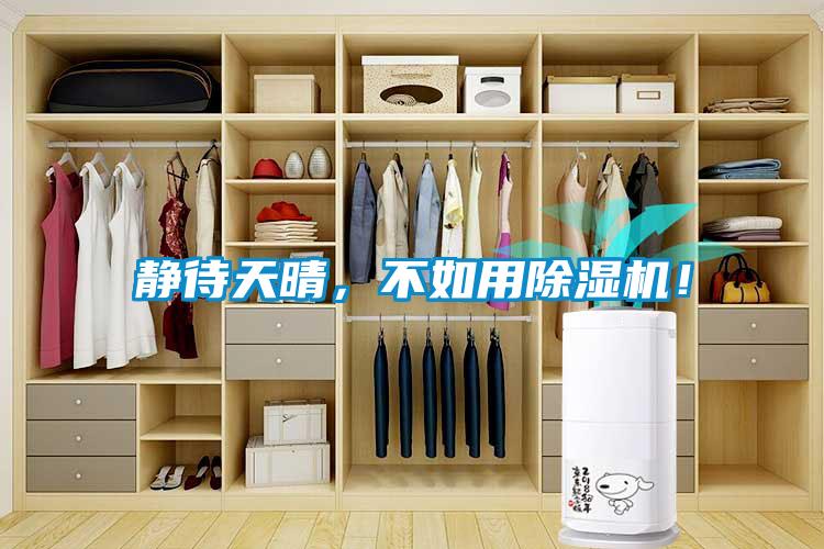 靜待天晴，不如用除濕機！