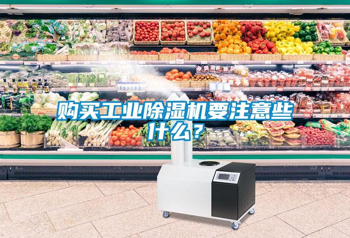 購買(mǎi)工業(yè)除濕機要注意些什么？