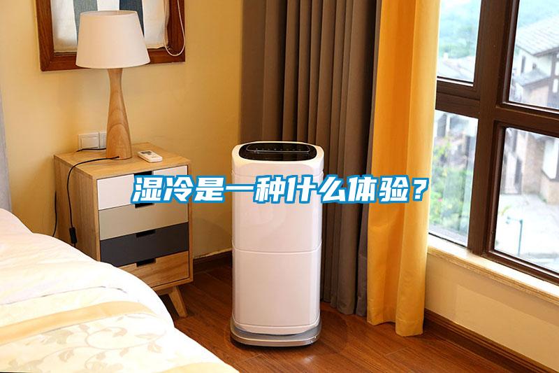 濕冷是一種什么體驗？