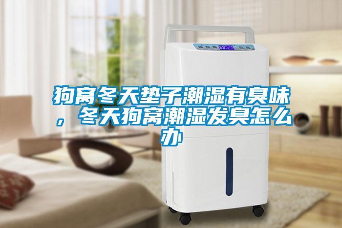 狗窩冬天墊子潮濕有臭味，冬天狗窩潮濕發(fā)臭怎么辦