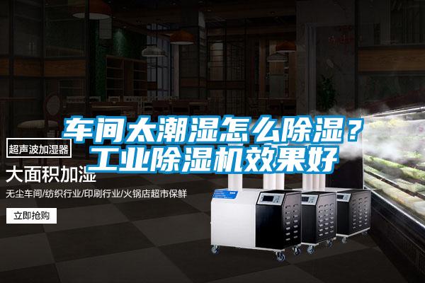 車(chē)間太潮濕怎么除濕？工業(yè)除濕機效果好