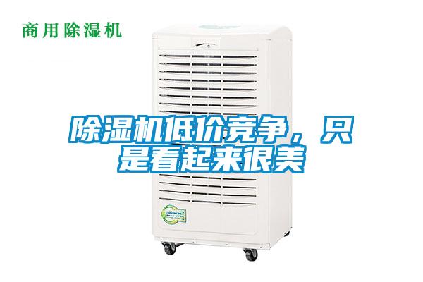 除濕機低價(jià)競爭，只是看起來(lái)很美