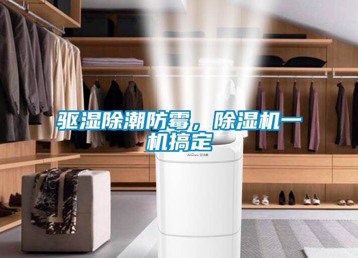 驅濕除潮防霉，除濕機一機搞定