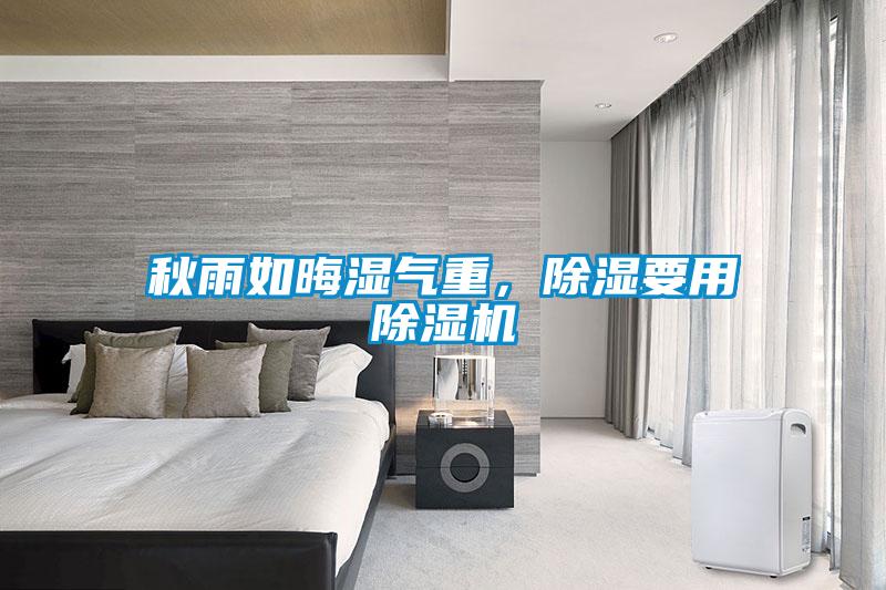 秋雨如晦濕氣重，除濕要用除濕機