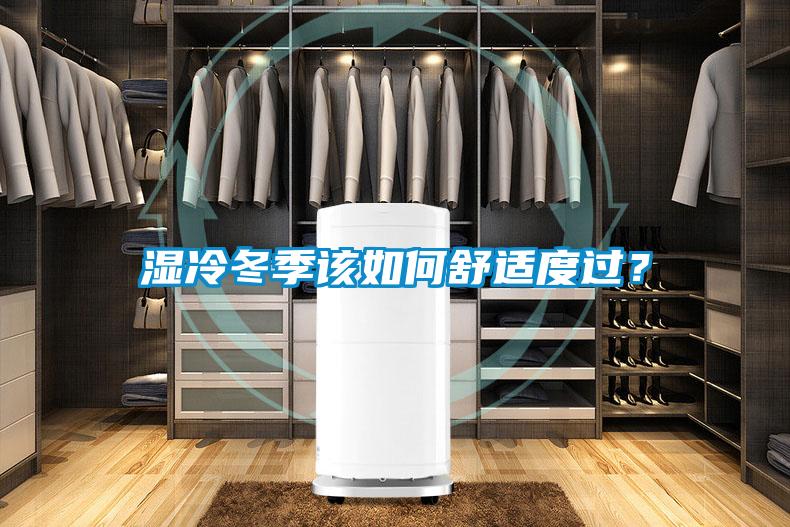 濕冷冬季該如何舒適度過(guò)？