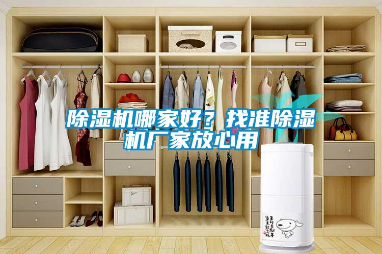 除濕機哪家好？找準除濕機廠(chǎng)家放心用
