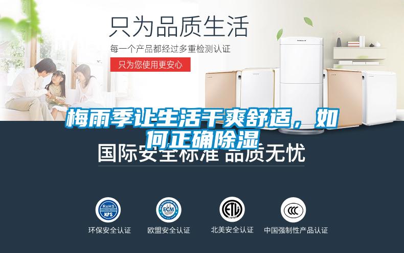 梅雨季讓生活干爽舒適，如何正確除濕