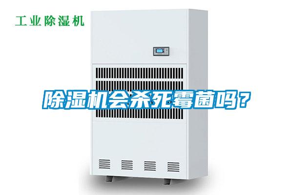 除濕機會(huì )殺死霉菌嗎？