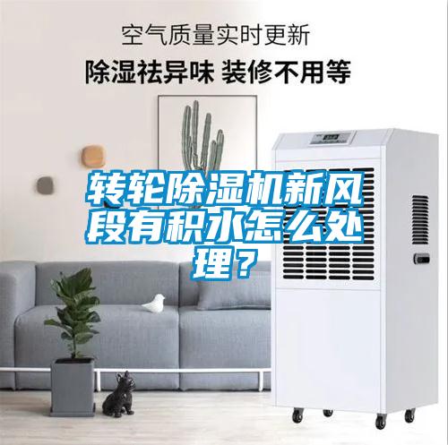 轉輪除濕機新風(fēng)段有積水怎么處理？