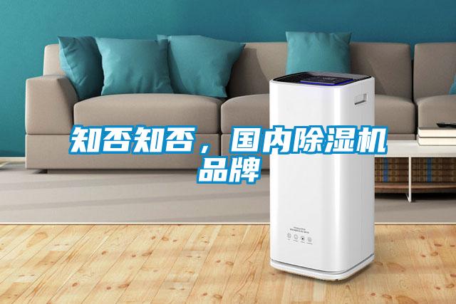 知否知否，國內除濕機品牌