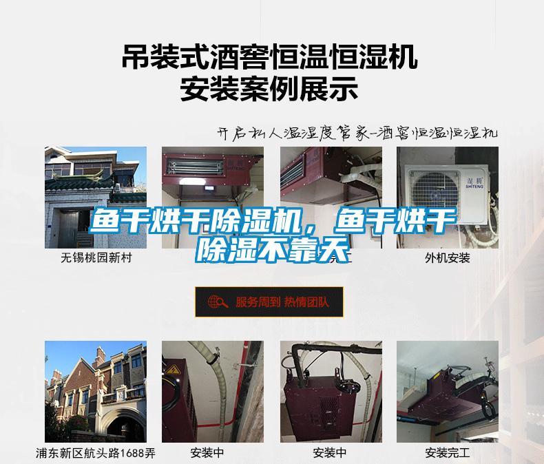 魚(yú)干烘干除濕機，魚(yú)干烘干除濕不靠天