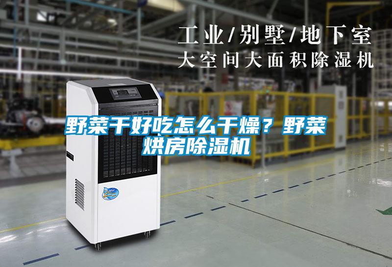 野菜干好吃怎么干燥？野菜烘房除濕機