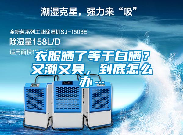 衣服曬了等于白曬？又潮又臭，到底怎么辦…