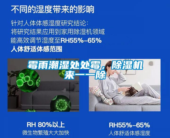 霉雨潮濕處處霉，除濕機來(lái)一一除