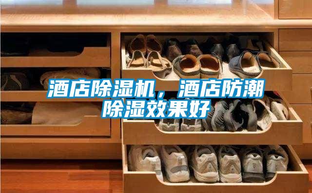 酒店除濕機，酒店防潮除濕效果好