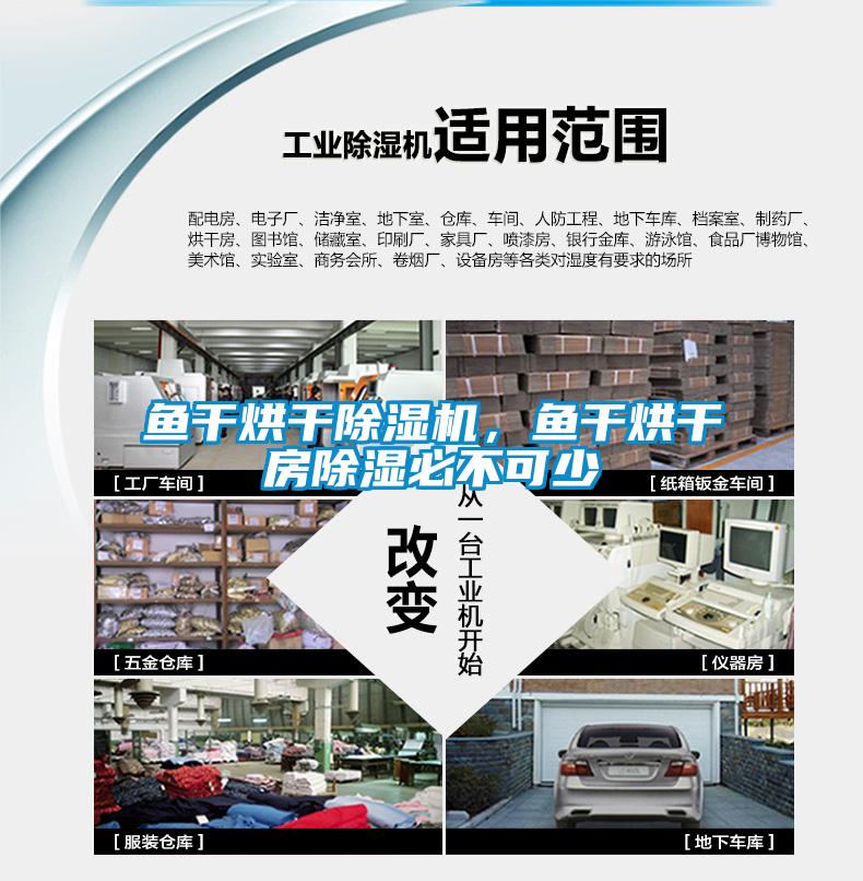 魚(yú)干烘干除濕機，魚(yú)干烘干房除濕必不可少