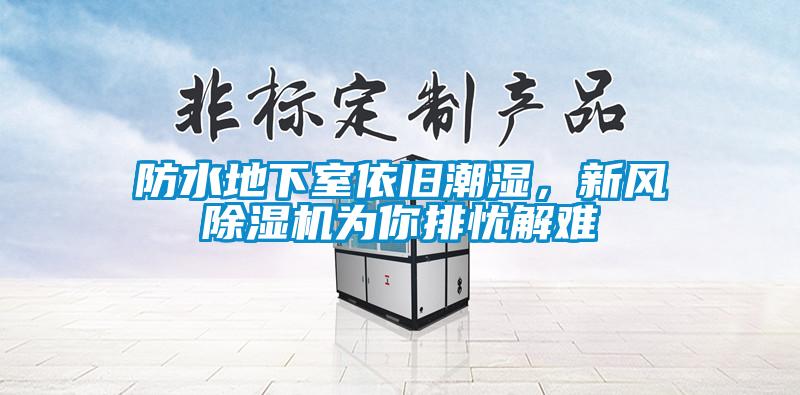 防水地下室依舊潮濕，新風(fēng)除濕機為你排憂(yōu)解難