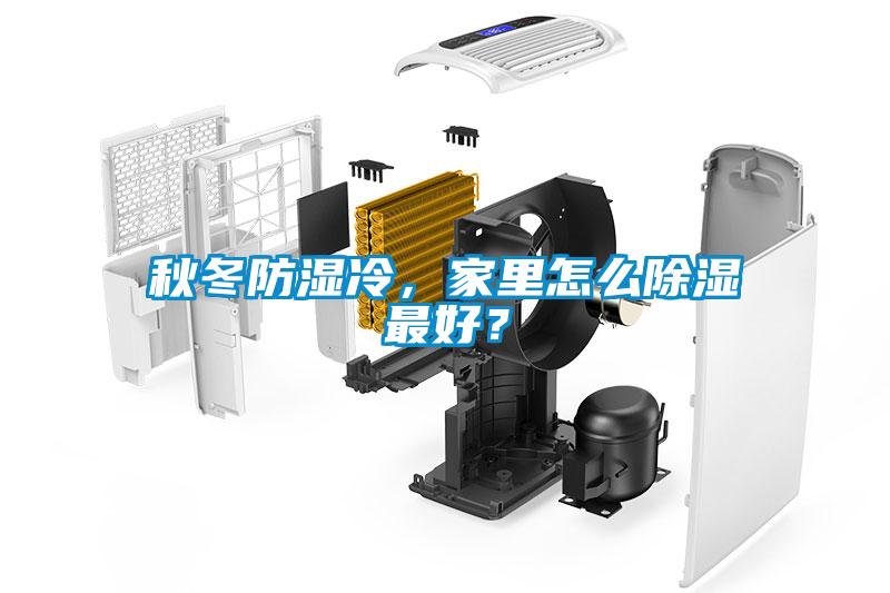 秋冬防濕冷，家里怎么除濕最好？