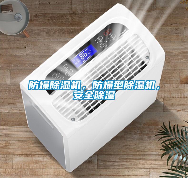 防爆除濕機，防爆型除濕機，安全除濕
